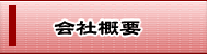 ЊTv